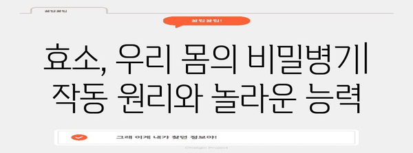 효소의 놀라운 세계 | 부작용 밝히기