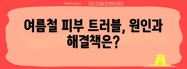 여름철 피부 관리 필수 가이드 | 자외선 피부질환 완벽 해결