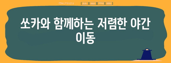 쏘카 편도 야간 할인 | 밤길 운전비 절약하세요