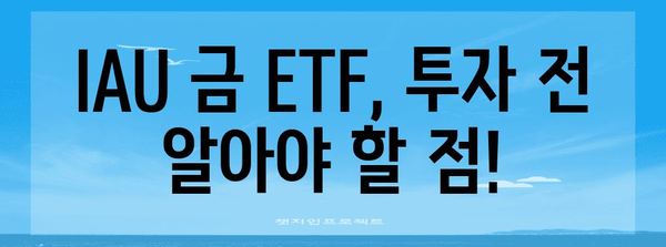 금 ETF IAU 수익률 실적과 현황