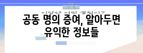 홈택스 공동 명의 증여세 신고 안내