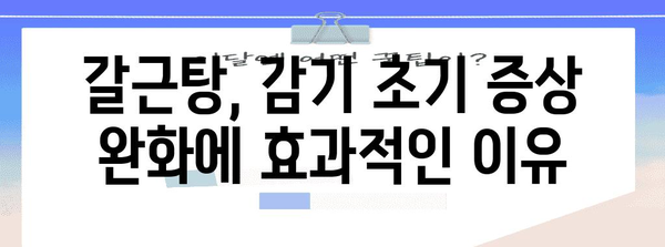 감기 초기 증상 완화 꿀팁 | 갈근탕의 5가지 꿀