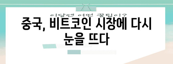 비트코인 가격 상승 예측 | 중국 자금 유입 가능성