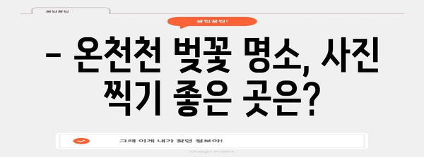 부산 봄나들이의 꽃순이는 온천천! 벚꽃 만개 현황부터 축제까지