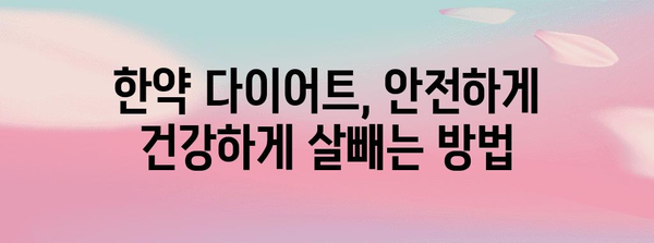 한약 다이어트 맞춤 가이드 | 나에게 맞는 완벽한 처방