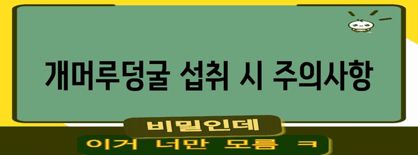 개머루덩굴의 약효 | 폐렴, 장염, 림프선염에