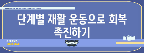 새끼발가락 골절 완벽한 치유 가이드 | 단계별 재활 운동과 주의 사항