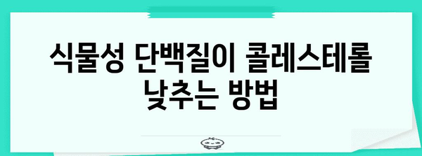 콜레스테롤 수치 낮추는 식단 가이드 | 필수 식품과 피해야 할 것