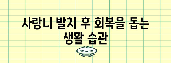 사랑니 발치 후 관리 | 양치 및 식사 가이드