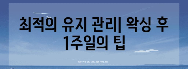 브라질리안 왁싱 후 관리의 진수 | 통증 없는 하체를 위한 완벽한 솔루션