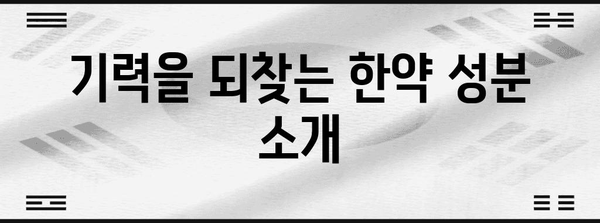 피로 회복 한약의 위력 | 기력을 되찾는 선택 가이드