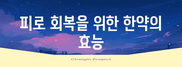 피로 회복 한약의 위력 | 기력을 되찾는 선택 가이드