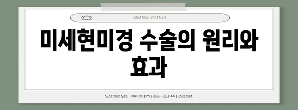 허리디스크 통증 해결의 길 | 미세현미경 수술