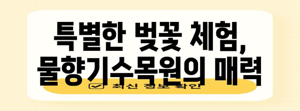 봄나들이를 위한 아름다운 벚꽃 명소 | 오산 물향기수목원