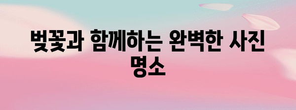 봄나들이를 위한 아름다운 벚꽃 명소 | 오산 물향기수목원